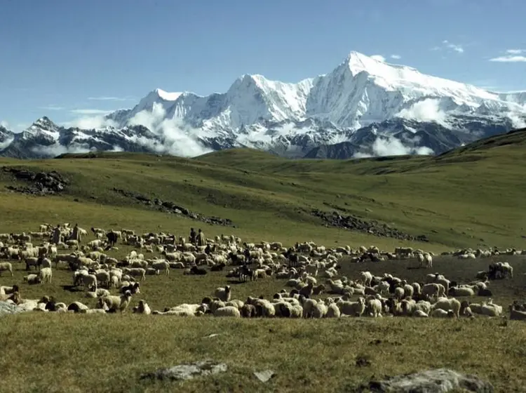 Backgroud_ Pik ss1.jpg